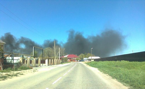 Горит свалка между Темрюком и Голубицкой